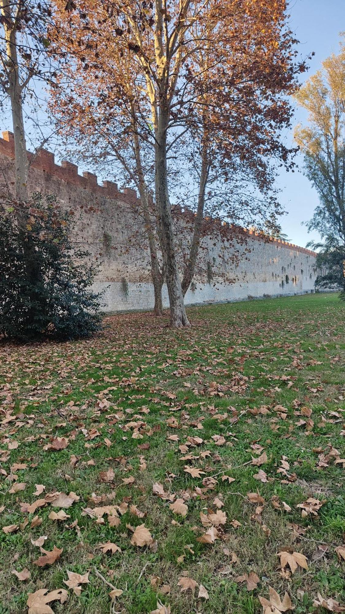 L'Angolo Di Galileo Pisa Exterior foto